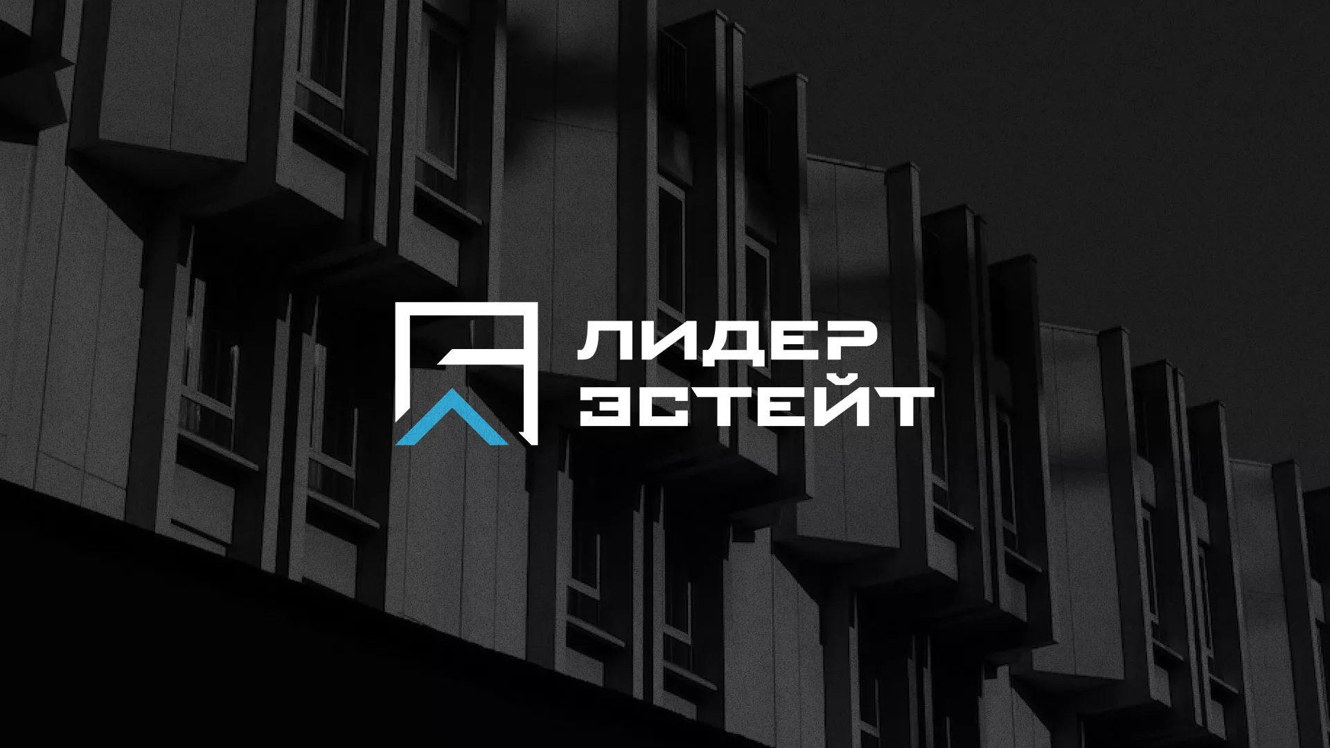 Разработка логотипа агентства недвижимости «Лидер Эстейт» в Сафоново